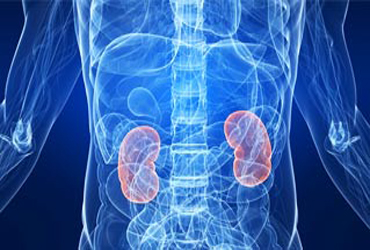 Best Kidney Transplant Surgeon in India, Chandigarh. Mohali, Panchkula, Punjab, Haryana, Himachal Pradesh HP, north india, Best Kidney Transplant hospital,Best urologist, Top Kidney Transplant Surgeon in India, Renal Transplant Surgeon in India, Nephrologist in India, Kidney Transplant Specialist, Kidney Transplant Doctor, Kidney Transplantation Surgeon, Renal Transplantation Surgeon, Kidney Transplantation Specialist, Renal Transplantation Specialist Lucknow